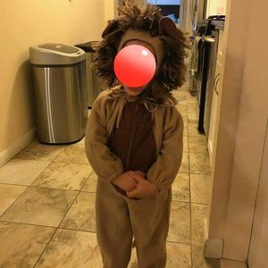 Lion Halloween Costume for toddler- Size 2T